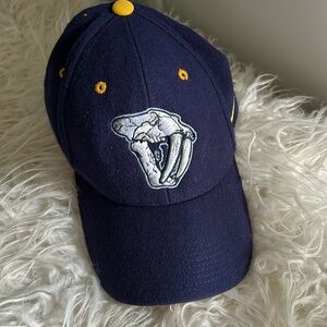 Nashville predators  NIKE NHL wool logo adjustable baseball cap